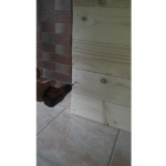 SENTIOTEC FINNSAUNA BASIC MEDIUM 2