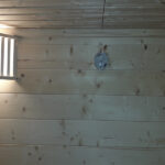 SENTIOTEC FINNSAUNA BASIC MEDIUM 2